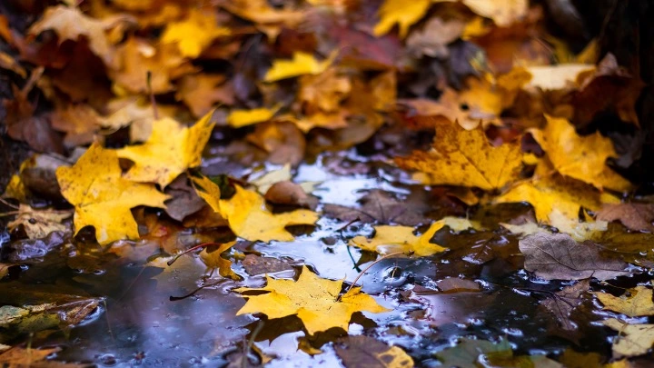 IA integrada en el software de administración de fincas